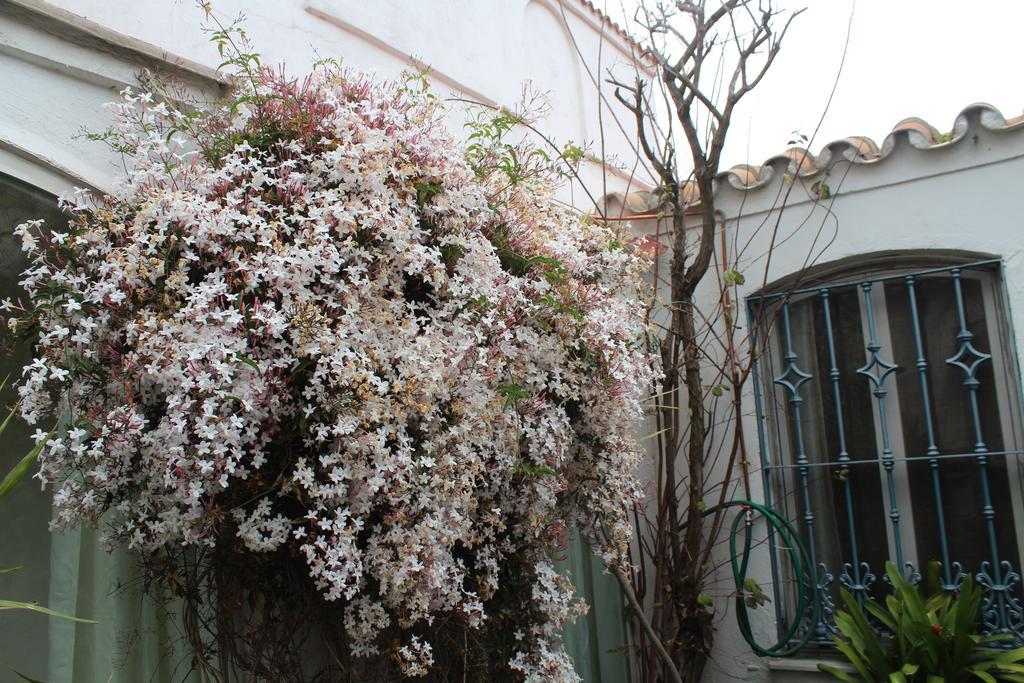 הוילה La Línea de la Concepción Casa Colonia מראה חיצוני תמונה